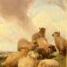 A Study of Seven Sheep